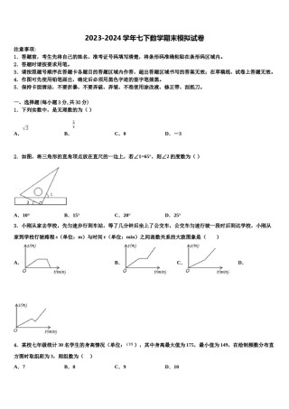 江西省省宜春市袁州区2024年七下数学期末复习检测模拟试题含解析.doc