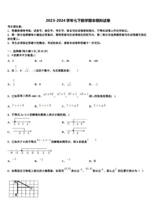 江西省赣州市兴国县2023-2024学年七下数学期末质量检测试题含解析.doc