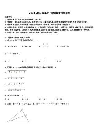 河北省临城县2024年七下数学期末学业水平测试模拟试题含解析.doc