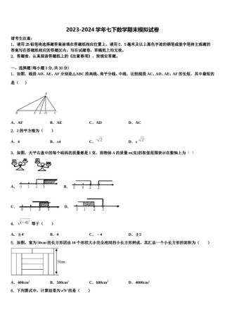 河北省保定市定兴县2024届七下数学期末达标检测模拟试题含解析.doc