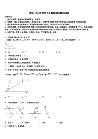 河北省安平县马店乡北郭村农业中学等三校2024年七年级数学第二学期期末复习检测模拟试题含解析.doc