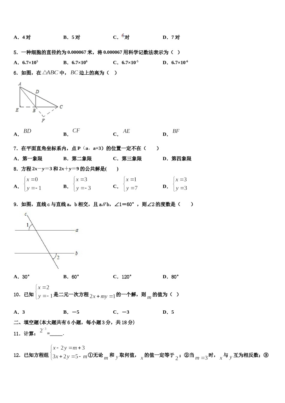 河北省石家庄外国语教育集团2023-2024学年七年级数学第二学期期末复习检测模拟试题含解析.doc_第2页