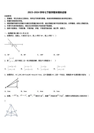 河北省石家庄外国语教育集团2023-2024学年七年级数学第二学期期末复习检测模拟试题含解析.doc