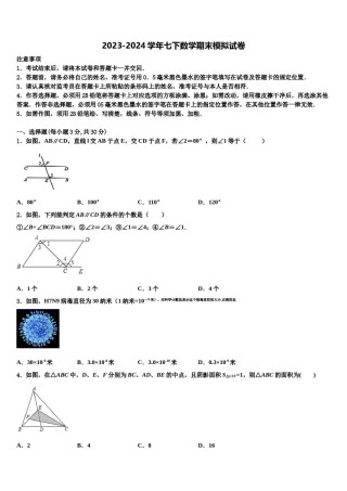 河北省石家庄市名校2023-2024学年七下数学期末学业水平测试试题含解析.doc