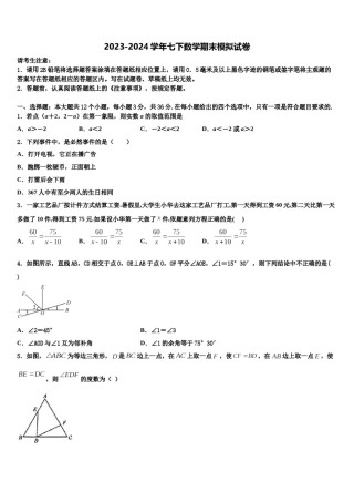 河北省秦皇岛市抚宁区台营区2024届七下数学期末经典模拟试题含解析.doc