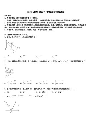 河北省秦皇岛市抚宁区台营区2024届数学七下期末监测模拟试题含解析.doc