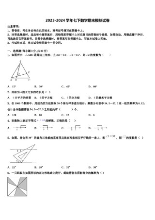 河北省衡水市八校2024年七年级数学第二学期期末经典模拟试题含解析.doc