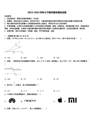 河北省邢台市宁晋县东城实验中学2023-2024学年数学七下期末质量检测模拟试题含解析.doc