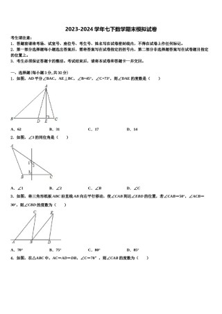 河北省邢台市第八中学2024届七下数学期末学业水平测试试题含解析.doc