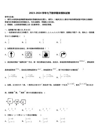 河北省邯郸市鸡泽县2024年七下数学期末经典模拟试题含解析.doc