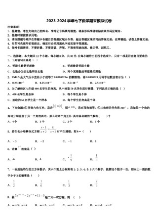 河北省邯郸武安市2024年七下数学期末质量跟踪监视试题含解析.doc