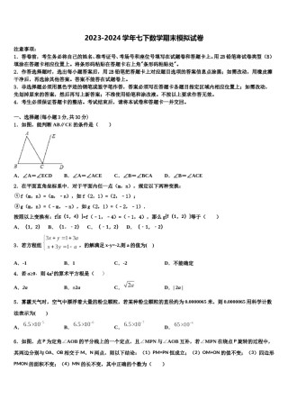 河北石家庄新华区42中学2024届七年级数学第二学期期末达标检测试题含解析.doc