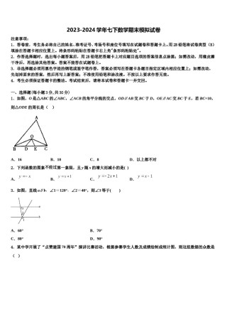 河南大附中2024年七年级数学第二学期期末达标检测模拟试题含解析.doc