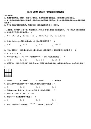河南省临颍县联考2024届七下数学期末调研模拟试题含解析.doc