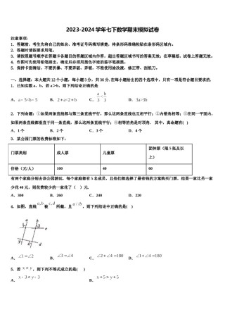 河南省叶县2023-2024学年七下数学期末监测模拟试题含解析.doc