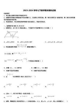 河南省安阳市2024届七下数学期末考试试题含解析.doc