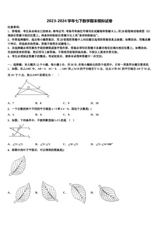 河南省濮阳县区联考2024届七下数学期末学业质量监测模拟试题含解析.doc