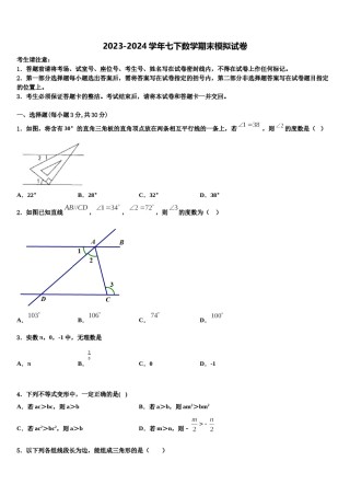 河南省郑州市桐柏一中学2023-2024学年数学七下期末考试模拟试题含解析.doc