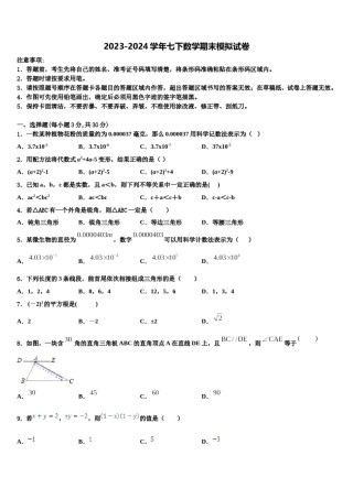 河南省郑州市河南省实验中学2024年七年级数学第二学期期末经典试题含解析.doc
