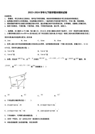河南省郑州市第十七中学2024年七下数学期末质量检测试题含解析.doc