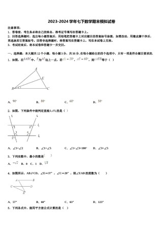 河南省郑州市郑东新区实验学校2024届七下数学期末质量跟踪监视模拟试题含解析.doc