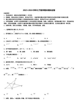 河南省郑州市金水区实验中学2023-2024学年数学七下期末监测试题含解析.doc