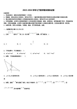 河南省郑州市金水区实验中学2024届七下数学期末监测试题含解析.doc