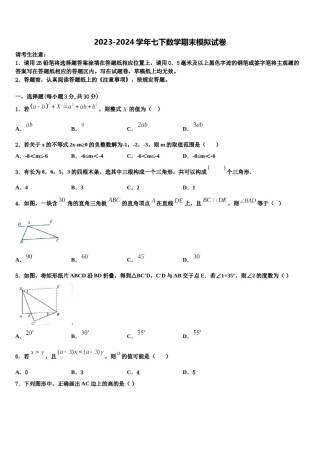 河南省驻马店市新蔡县2024届七年级数学第二学期期末考试试题含解析.doc