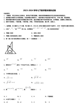 河南省驻马店市遂平县第一初级中学2023-2024学年七下数学期末经典模拟试题含解析.doc