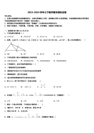 河南鹿邑老君台中学2024年七下数学期末学业质量监测模拟试题含解析.doc