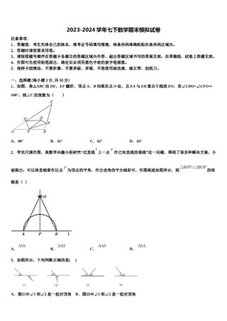 泰安市泰山区2024届七年级数学第二学期期末经典模拟试题含解析.doc