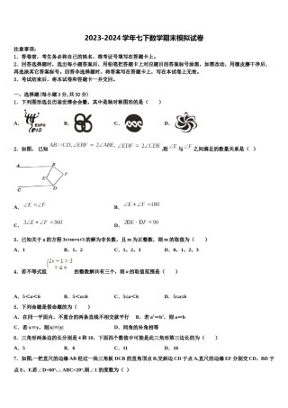 浙江省丽水2023-2024学年七年级数学第二学期期末教学质量检测模拟试题含解析.doc