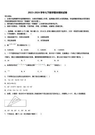 浙江省乐清市2024届数学七下期末预测试题含解析.doc