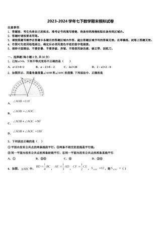 浙江省台州市温岭市箬横镇东浦中学2023-2024学年七下数学期末考试模拟试题含解析.doc
