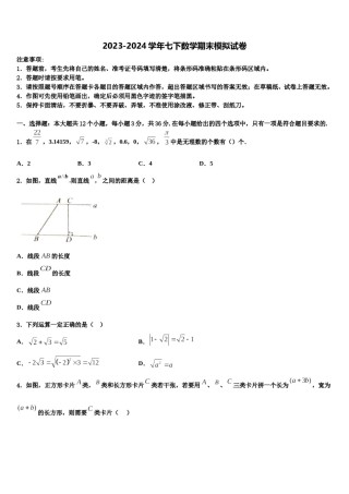 浙江省台州市温岭市箬横镇东浦中学2024年七年级数学第二学期期末调研模拟试题含解析.doc