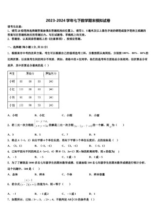 浙江省嘉兴市秀洲区2023-2024学年数学七下期末质量跟踪监视模拟试题含解析.doc