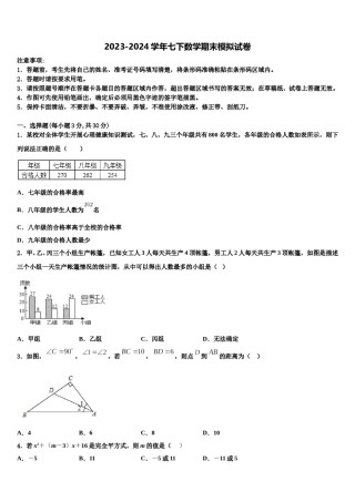 浙江省宁波市效实中学2024届七下数学期末检测试题含解析.doc