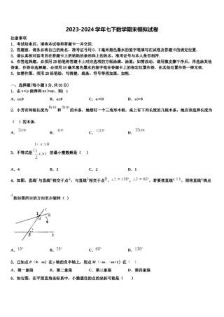 浙江省新昌县2024届七下数学期末监测试题含解析.doc