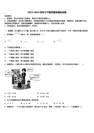 浙江省杭州市三墩中学2024届数学七下期末检测模拟试题含解析.doc