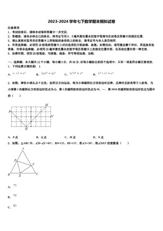 浙江省杭州市滨江区部分学校2023-2024学年七年级数学第二学期期末调研模拟试题含解析.doc