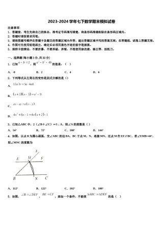 浙江省杭州市英特外国语学校2024年七年级数学第二学期期末质量跟踪监视试题含解析.doc