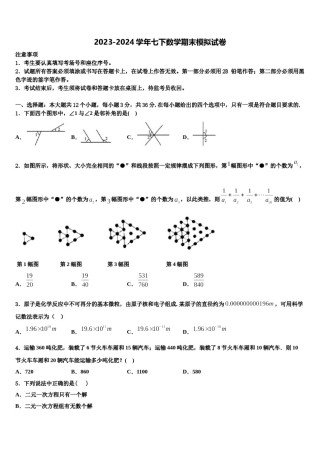浙江省温州市龙港地区2024年七下数学期末调研模拟试题含解析.doc