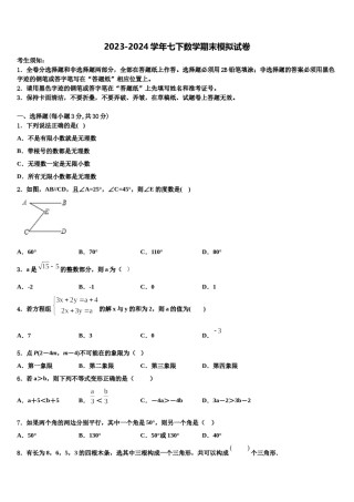 浙江省绍兴市越城区2024届七年级数学第二学期期末教学质量检测模拟试题含解析.doc