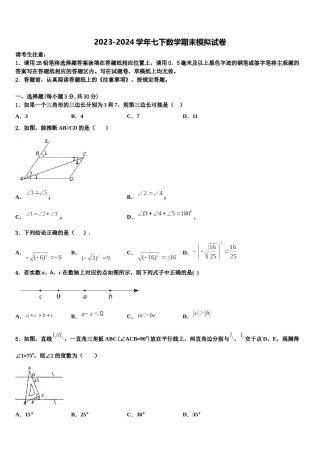 浙江省绍兴蕺山外国语学校2024届数学七下期末复习检测模拟试题含解析.doc