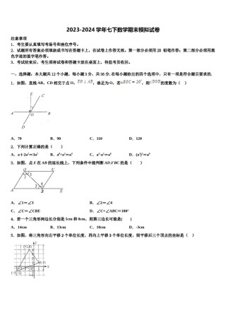 海南省临高县2023-2024学年七下数学期末监测试题含解析.doc