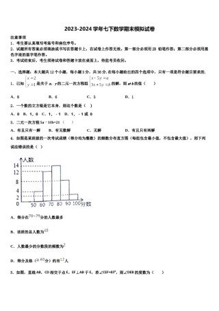 海南省华东师大二附中2023-2024学年数学七下期末复习检测模拟试题含解析.doc