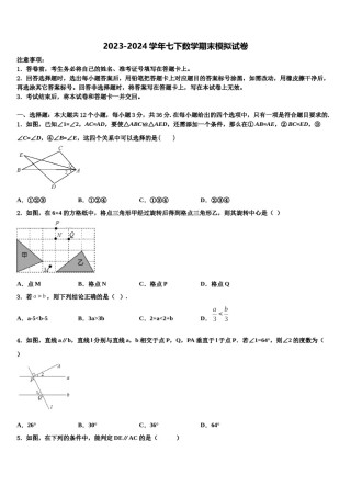 海南省洋浦中学2024年七年级数学第二学期期末综合测试模拟试题含解析.doc