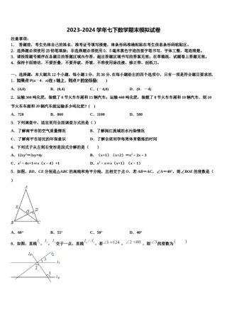 海南省海南师范大附属中学2024年七年级数学第二学期期末复习检测模拟试题含解析.doc