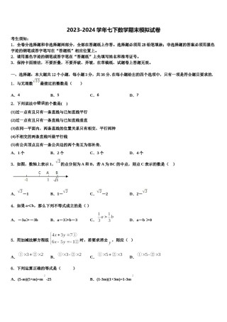 海南省白沙县2024年七年级数学第二学期期末检测试题含解析.doc