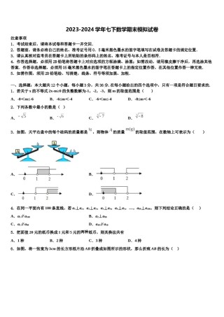 湖北武汉一初慧泉中学2023-2024学年七年级数学第二学期期末综合测试模拟试题含解析.doc